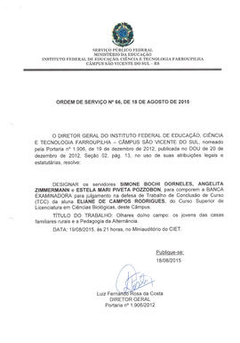 Ordem de Serviço IFFAR\SVS nº 066/2015